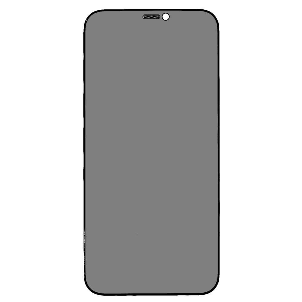 TechWave 5D Full Glue Privacy Tempered Glass for iPhone 12 / 12 Pro black