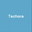 Techora logo