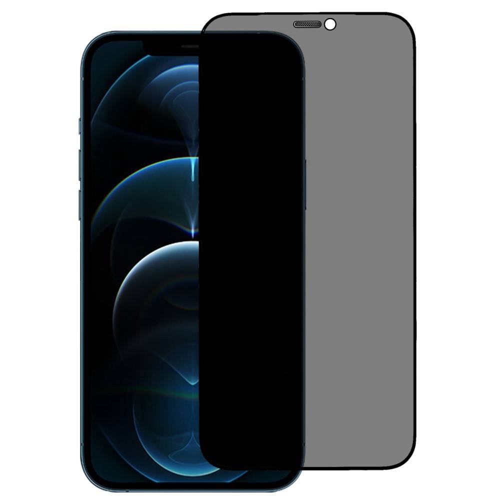 TechWave 5D Full Glue Privacy Tempered Glass for iPhone 12 / 12 Pro black